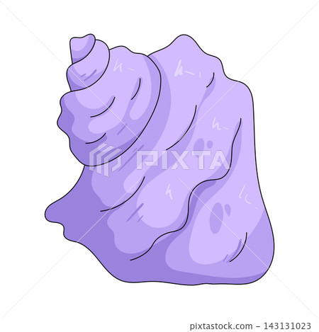 Illustration of purple seashell Illustration of purple seashell 143131023