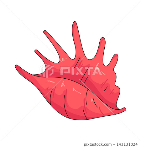 Illustration of pink seashell 143131024