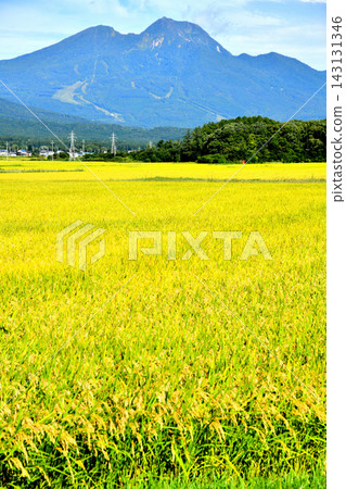 View of Mt. Myoko from Honami, Shinano-machi, Nagano Prefecture (Shinano-machi, Nagano Prefecture) [2026.9] 143131346