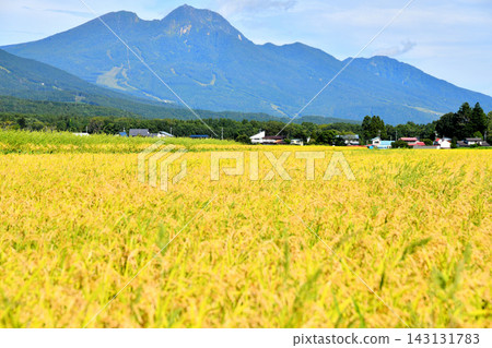 View of Mt. Myoko from Oi, Shinano-machi, Nagano Prefecture (Shinano-machi, Nagano Prefecture) [2026.9] 143131783
