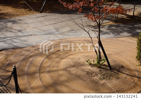 一個幾何造型優美的旱地景觀花園,白色沙礫勾勒出漩渦狀圖案,點綴著幼小的楓樹。 一個幾何造型優美的旱地景觀花園,白色沙礫勾勒出漩渦狀圖案,點綴著幼小的楓樹。 143132241