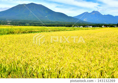 View of Mt. Kurohime and Mt. Myoko from Oi, Shinano-machi, Nagano Prefecture (Shinano-machi, Nagano Prefecture) [2026.9] 143132269