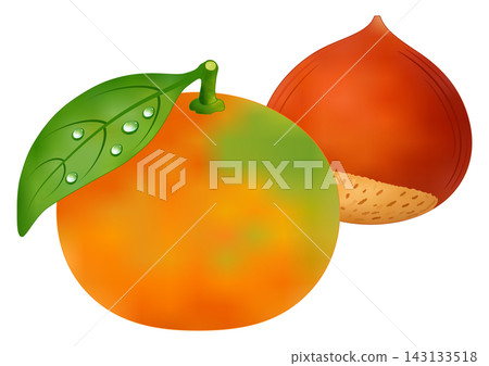 "Early-ripening mandarins" and "chestnuts" "Early-ripening mandarins" and "chestnuts" 143133518