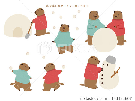 A set of 3 hand-drawn marmot illustrations that can be used in combination. A set of 3 hand-drawn marmot illustrations that can be used in combination. 143133607