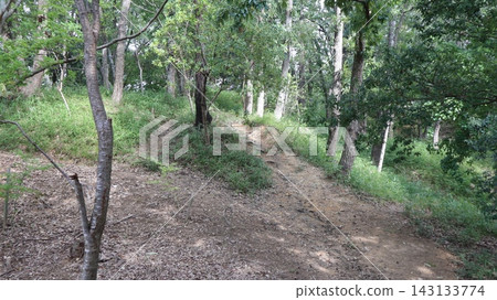 西陣中央公園,雜草已被清除,一些綠色植物已經恢復。 西陣中央公園,雜草已被清除,一些綠色植物已經恢復。 143133774