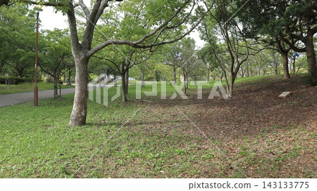 西陣中央公園,雜草已被清除,一些綠色植物已經恢復。 西陣中央公園,雜草已被清除,一些綠色植物已經恢復。 143133775