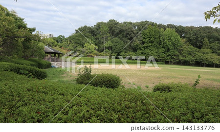 西陣中央公園，雜草已被清除，一些綠色植物已經恢復。 143133776