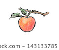 A watercolor illustration of apples growing on a tree. 143133785
