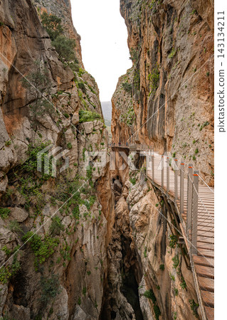 ooden boardwalk clinging to sheer canyon walls at Caminito del Rey, Spain 143134211