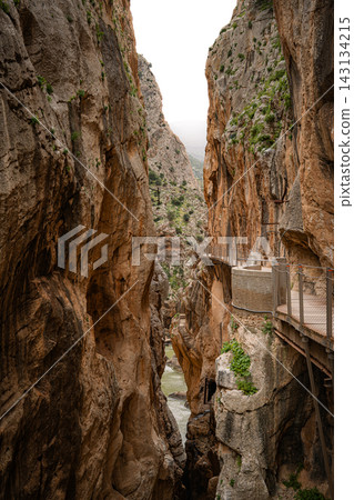Wooden walkway hugging a canyon wall above the Guadalhorce river at Caminito del Rey Wooden walkway hugging a canyon wall above the Guadalhorce river at Caminito del Rey 143134215