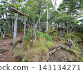 An old torii gate and shrine standing on the summit of Mt. Akanagi 143134271