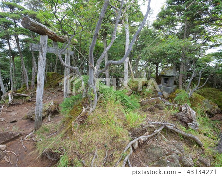 An old torii gate and shrine standing on the summit of Mt. Akanagi An old torii gate and shrine standing on the summit of Mt. Akanagi 143134271