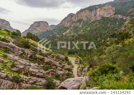 Forested canyon with the Guadalhorce river winding through pine-covered mountains, Spain Forested canyon with the Guadalhorce river winding through pine-covered mountains, Spain 143134291