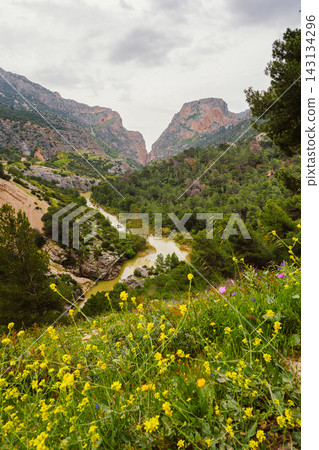 Wildflower meadow overlooking the winding Guadalhorce river gorge at Caminito del Rey 143134296