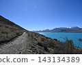 Walking trails along Lake Tekapo in New Zealand and scenery of Lake Tekapo 143134389