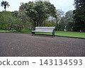 A view of the bent in Albert Park in Auckland, New Zealand. 143134593