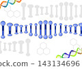 DNA double helix structure and chemical structure 143134696