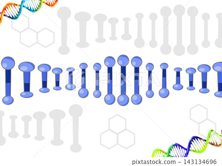 DNA double helix structure and chemical structure 143134696