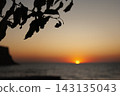 Sunset Over Ocean with Tree Branch Foreground 143135043