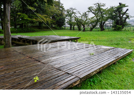 下著雨,我在靜謐的公園散步。 下著雨,我在靜謐的公園散步。 143135054