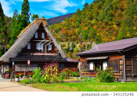 Autumn, Toyama Prefecture, Gokayama, Suganuma Gassho Village Autumn, Toyama Prefecture, Gokayama, Suganuma Gassho Village 143135240