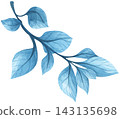 Watercolor Illustration of Blue Leaves 143135698