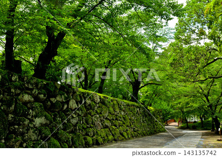 100 famous castles in Japan and Komoro castle 100 famous castles in Japan and Komoro castle 143135742