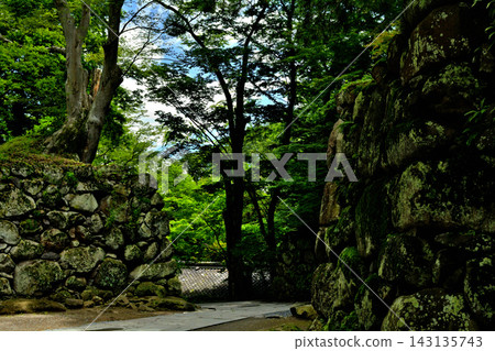 100 famous castles in Japan and Komoro castle 143135743