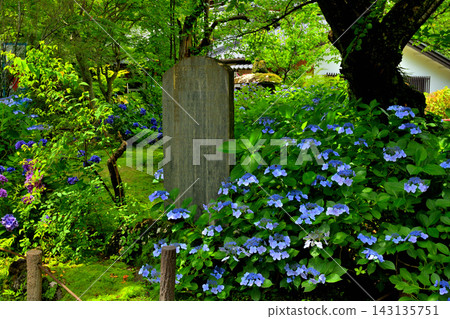 100 famous castles in Japan and Komoro castle 100 famous castles in Japan and Komoro castle 143135751