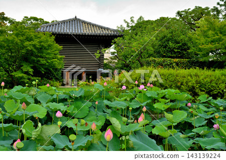 京都·東寺 143139224