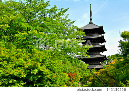 京都·東寺 京都·東寺 143139236