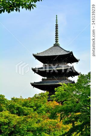 京都·東寺 京都·東寺 143139239