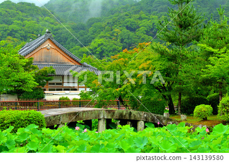 京都·天龍寺 京都·天龍寺 143139580