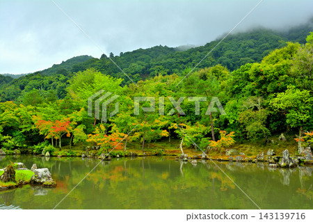 京都·天龍寺 京都·天龍寺 143139716