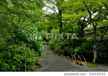 京都·天龍寺 京都·天龍寺 143139723