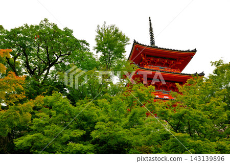京都 - 京都的ji寺廟 143139896