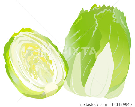 一顆看起來很美味的圓形大白菜和一顆切成兩半的大白菜。 143139940