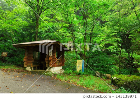 Deep green Tajima Alpine Road, gazebo at the site of Heike Castle Deep green Tajima Alpine Road, gazebo at the site of Heike Castle 143139971