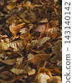 Vertical matte texture of dry golden foliage carpet under trees in october. Atmospheric minimalism, deep shadows, brown earthy tones, melancholy mood, empty space for smartphone wallpaper 143140142
