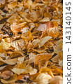 Vertical carpet of golden autumn foliage in park on a sunny day. Detailed view of leaf veins, warm yellow and orange shades, october mood, copy space on top for seasonal banner design. 143140145