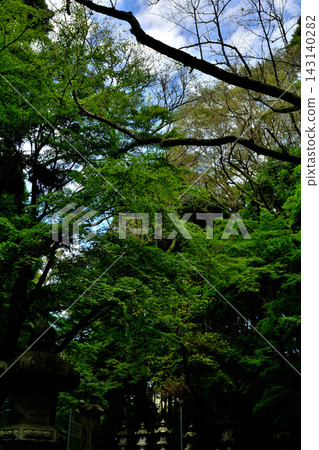 千葉縣香取神社 143140282