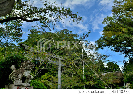 千葉縣香取神社 千葉縣香取神社 143140284