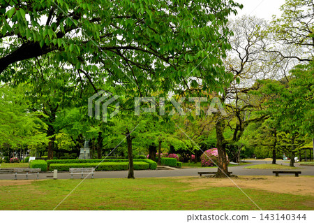 Japan's 100 Famous Castles, Tokushima Castle Japan's 100 Famous Castles, Tokushima Castle 143140344