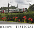 彼岸花與疾馳的火車（227系列紅翼） 143140523