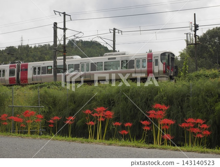 彼岸花與疾馳的火車(227系列紅翼) 彼岸花與疾馳的火車(227系列紅翼) 143140523