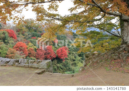 秋天的城堡廢墟 秋天的城堡廢墟 143141780