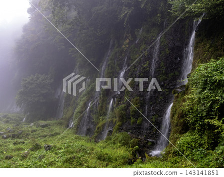 Shiraito Falls in the Rain Shiraito Falls in the Rain 143141851