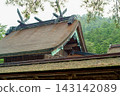 The scenery of Izumo Taisha Shrine, with its thatched roof and chigi (ornamental roof finials) overlapping. 143142089
