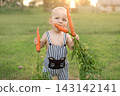 A little funny boy is gnawing on a carrot he pulled from the garden. Vegetable harvest season. Healthy eating. Introducing complementary foods to babies. 143142141