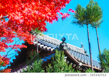 京都寺廟的秋葉照片 京都寺廟的秋葉照片 143142312
